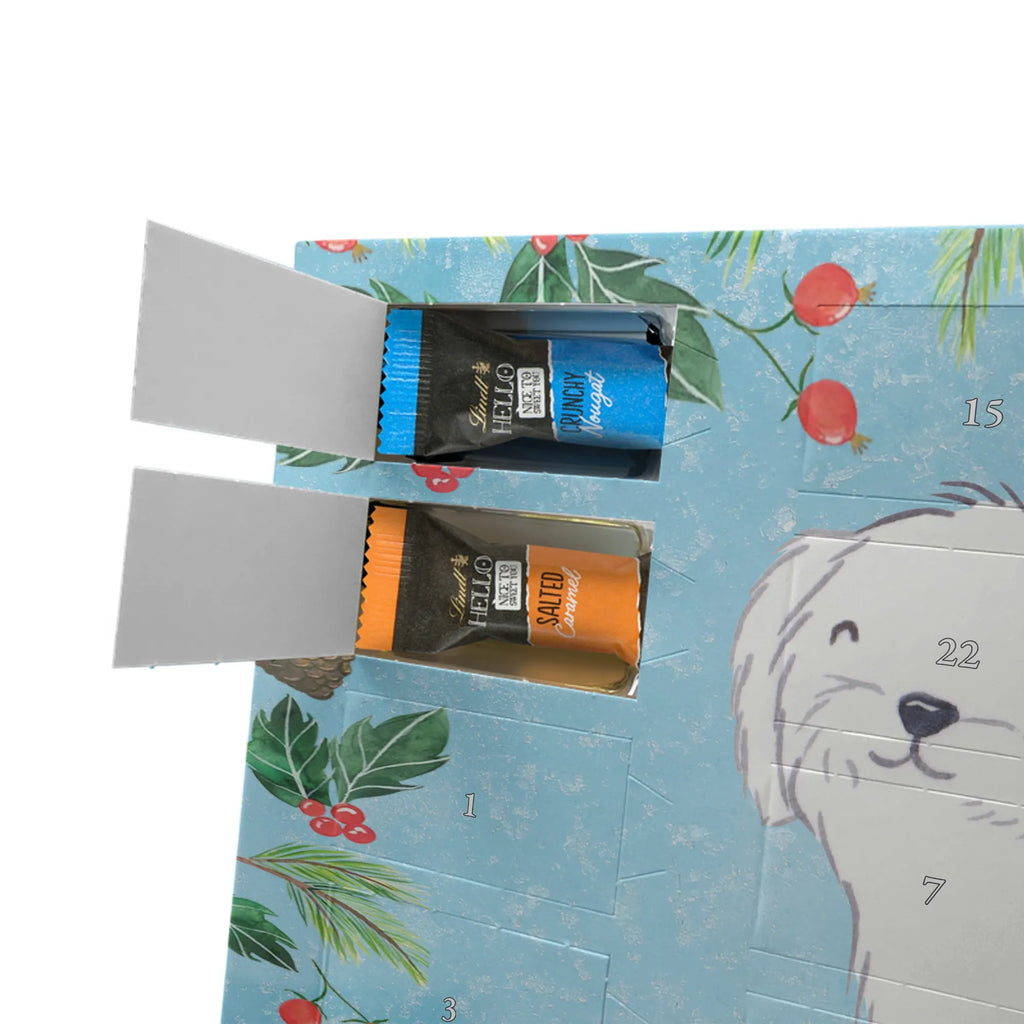 Adventskalender Malteser Moment Weihnachtskalender Schokolade, adventskalender mit pralinen, adventskalender süßigkeiten, weihnachtskalender schoko, Schoko Adventskalender, adventskalender pralinen, schokokalender, pralinen adventskalender, Schokoladen Adventskalender, schoko weihnachtskalender, advent kalender, kalender schokolade, adventskalender mit schokolade, süßigkeiten adventskalender, schoko kalender, Adventskalender Schokolade, süßigkeiten kalender, adventskalender mit süßigkeiten, Weihnachtskalender, Adventskalender, schokoladenkalender, schokolade adventskalender, schokoladen kalender, Welpe, Tierfreund, Hundebesitzer, Rassehund, Hunderasse, Hund, Schenken, Geschenk, Malteser