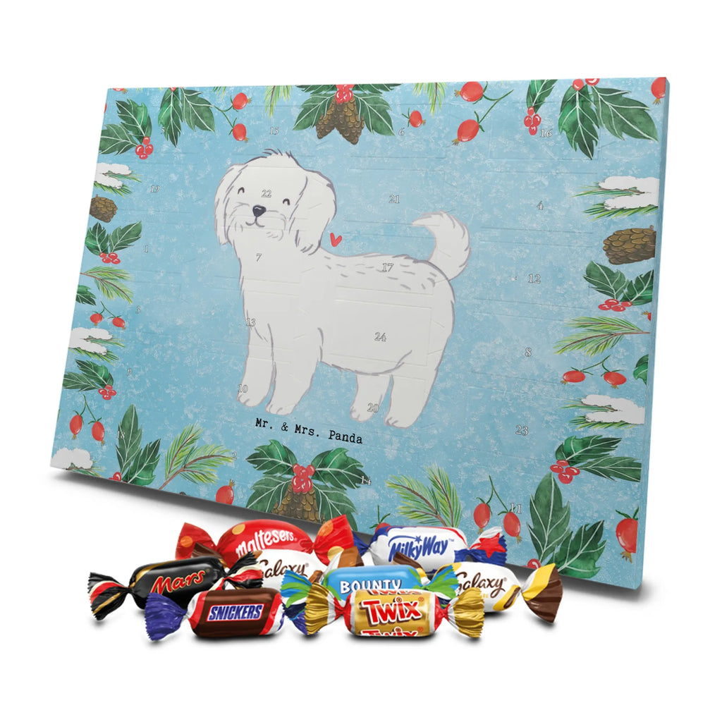 Adventskalender Malteser Moment Weihnachtskalender Schokolade, adventskalender mit pralinen, adventskalender süßigkeiten, weihnachtskalender schoko, Schoko Adventskalender, adventskalender pralinen, schokokalender, pralinen adventskalender, Schokoladen Adventskalender, schoko weihnachtskalender, advent kalender, kalender schokolade, adventskalender mit schokolade, süßigkeiten adventskalender, schoko kalender, Adventskalender Schokolade, süßigkeiten kalender, adventskalender mit süßigkeiten, Weihnachtskalender, Adventskalender, schokoladenkalender, schokolade adventskalender, schokoladen kalender, Welpe, Tierfreund, Hundebesitzer, Rassehund, Hunderasse, Hund, Schenken, Geschenk, Malteser