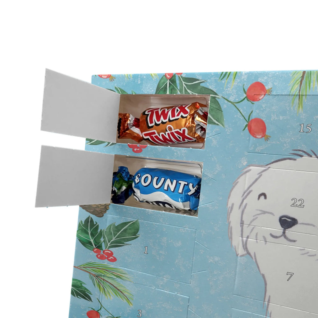 Adventskalender Malteser Moment Weihnachtskalender Schokolade, adventskalender mit pralinen, adventskalender süßigkeiten, weihnachtskalender schoko, Schoko Adventskalender, adventskalender pralinen, schokokalender, pralinen adventskalender, Schokoladen Adventskalender, schoko weihnachtskalender, advent kalender, kalender schokolade, adventskalender mit schokolade, süßigkeiten adventskalender, schoko kalender, Adventskalender Schokolade, süßigkeiten kalender, adventskalender mit süßigkeiten, Weihnachtskalender, Adventskalender, schokoladenkalender, schokolade adventskalender, schokoladen kalender, Welpe, Tierfreund, Hundebesitzer, Rassehund, Hunderasse, Hund, Schenken, Geschenk, Malteser