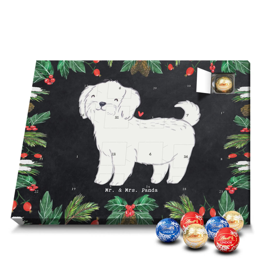 Adventskalender Malteser Moment Weihnachtskalender Schokolade, adventskalender mit pralinen, adventskalender süßigkeiten, weihnachtskalender schoko, Schoko Adventskalender, adventskalender pralinen, schokokalender, pralinen adventskalender, Schokoladen Adventskalender, schoko weihnachtskalender, advent kalender, kalender schokolade, adventskalender mit schokolade, süßigkeiten adventskalender, schoko kalender, Adventskalender Schokolade, süßigkeiten kalender, adventskalender mit süßigkeiten, Weihnachtskalender, Adventskalender, schokoladenkalender, schokolade adventskalender, schokoladen kalender, Welpe, Tierfreund, Hundebesitzer, Rassehund, Hunderasse, Hund, Schenken, Geschenk, Malteser