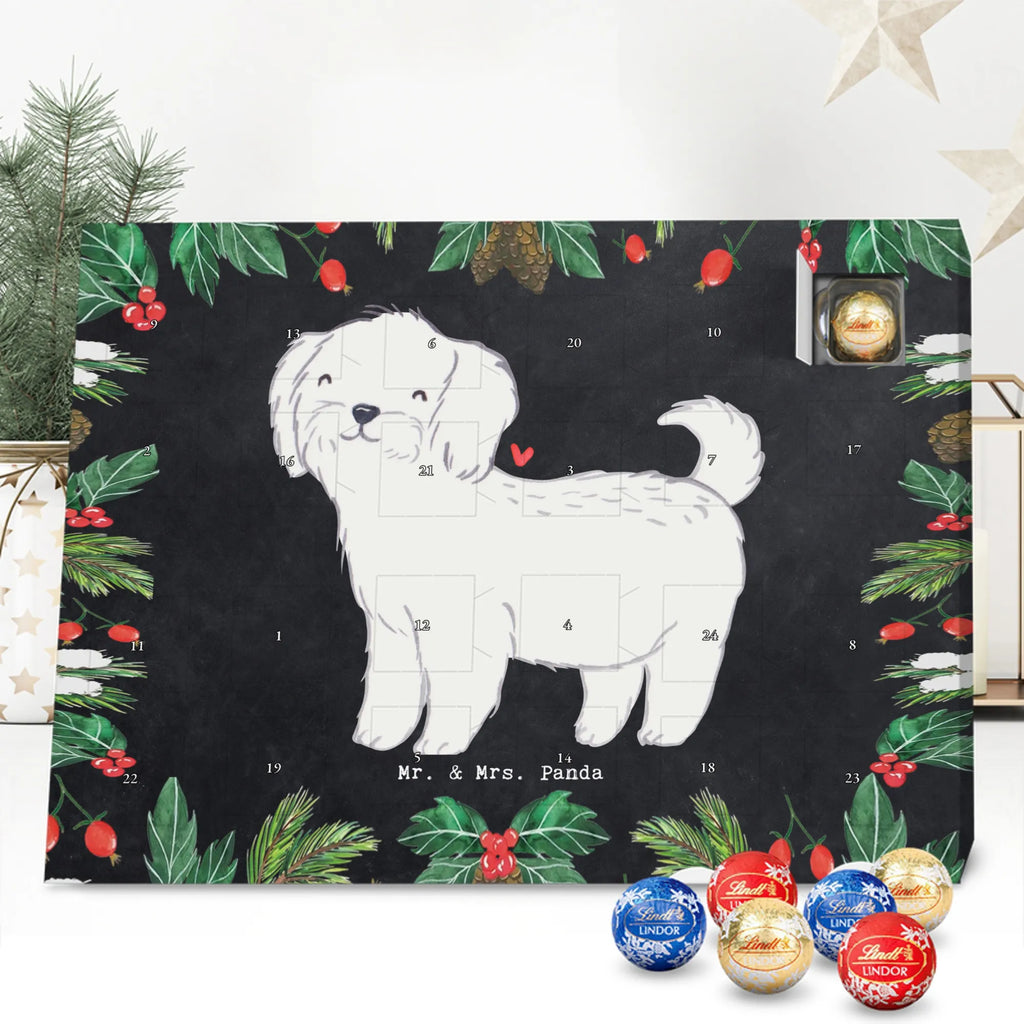 Adventskalender Malteser Moment Weihnachtskalender Schokolade, adventskalender mit pralinen, adventskalender süßigkeiten, weihnachtskalender schoko, Schoko Adventskalender, adventskalender pralinen, schokokalender, pralinen adventskalender, Schokoladen Adventskalender, schoko weihnachtskalender, advent kalender, kalender schokolade, adventskalender mit schokolade, süßigkeiten adventskalender, schoko kalender, Adventskalender Schokolade, süßigkeiten kalender, adventskalender mit süßigkeiten, Weihnachtskalender, Adventskalender, schokoladenkalender, schokolade adventskalender, schokoladen kalender, Welpe, Tierfreund, Hundebesitzer, Rassehund, Hunderasse, Hund, Schenken, Geschenk, Malteser