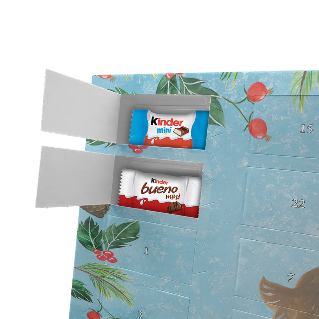 Chocolate advent calendar seal Laugh gift ideas, gifts, small animals, good mood, cute, funny sayings, cute animal motives, hand drawn, special gifts, card, animal lover, Seal, North Sea, Sea animal, Seals, Baltic Sea