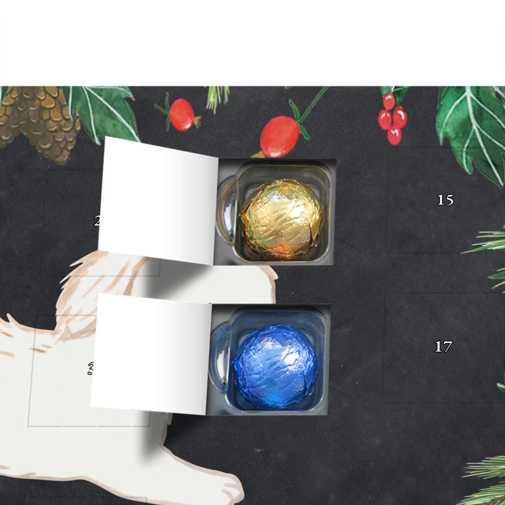 Chocolate advent calendar Maltipoo Moment puppy, dog owner, purebred dog, dog breed, giving, animal lover, gift