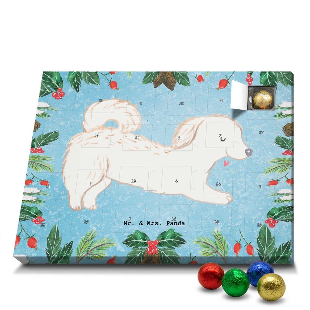 Chocolate advent calendar Maltipoo Moment puppy, dog owner, purebred dog, dog breed, giving, animal lover, gift