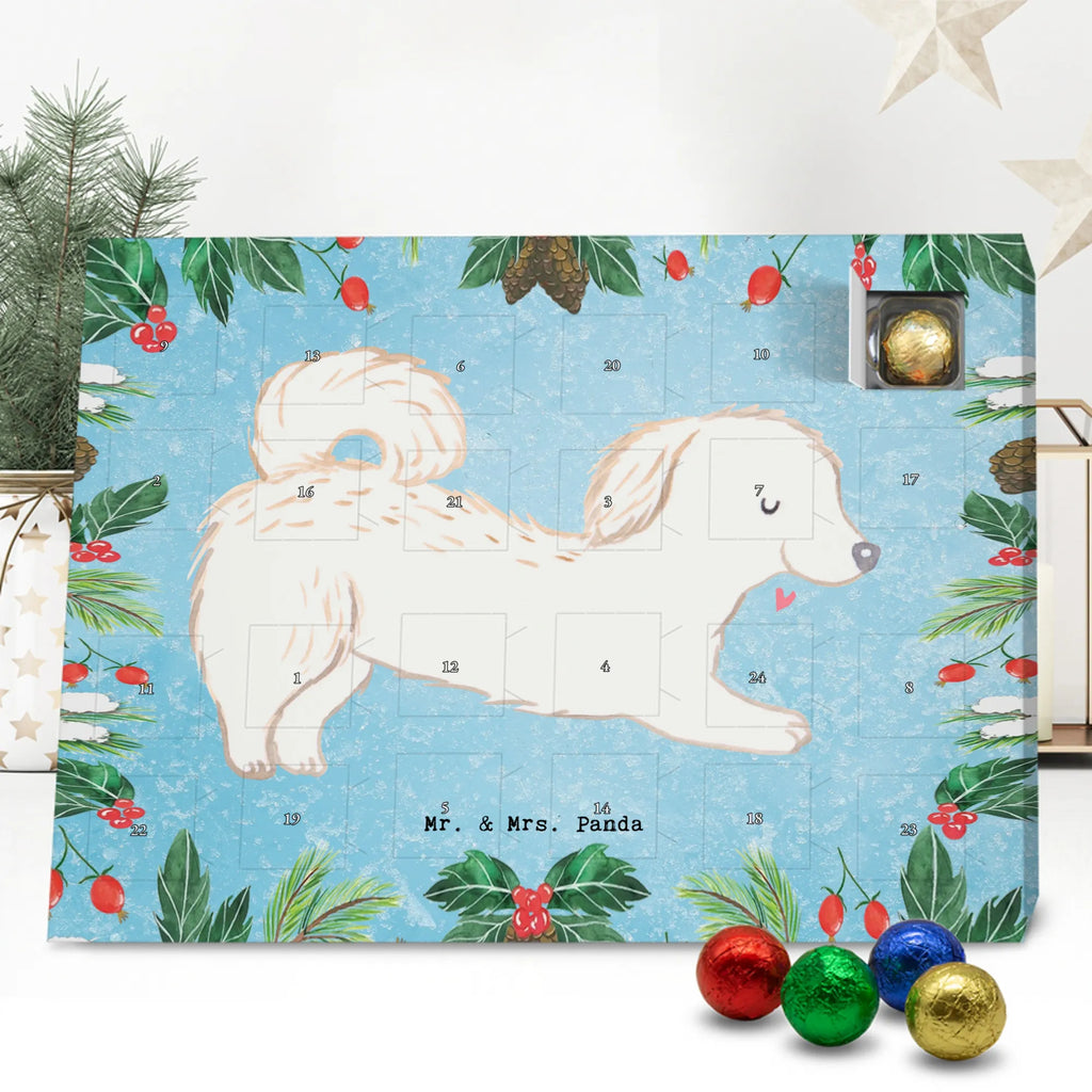 Chocolate advent calendar Maltipoo Moment puppy, dog owner, purebred dog, dog breed, giving, animal lover, gift