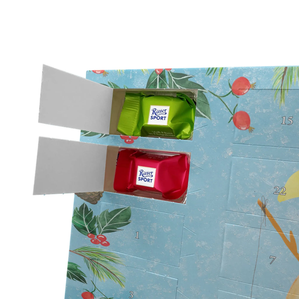  pingwin księżyc Pinguin