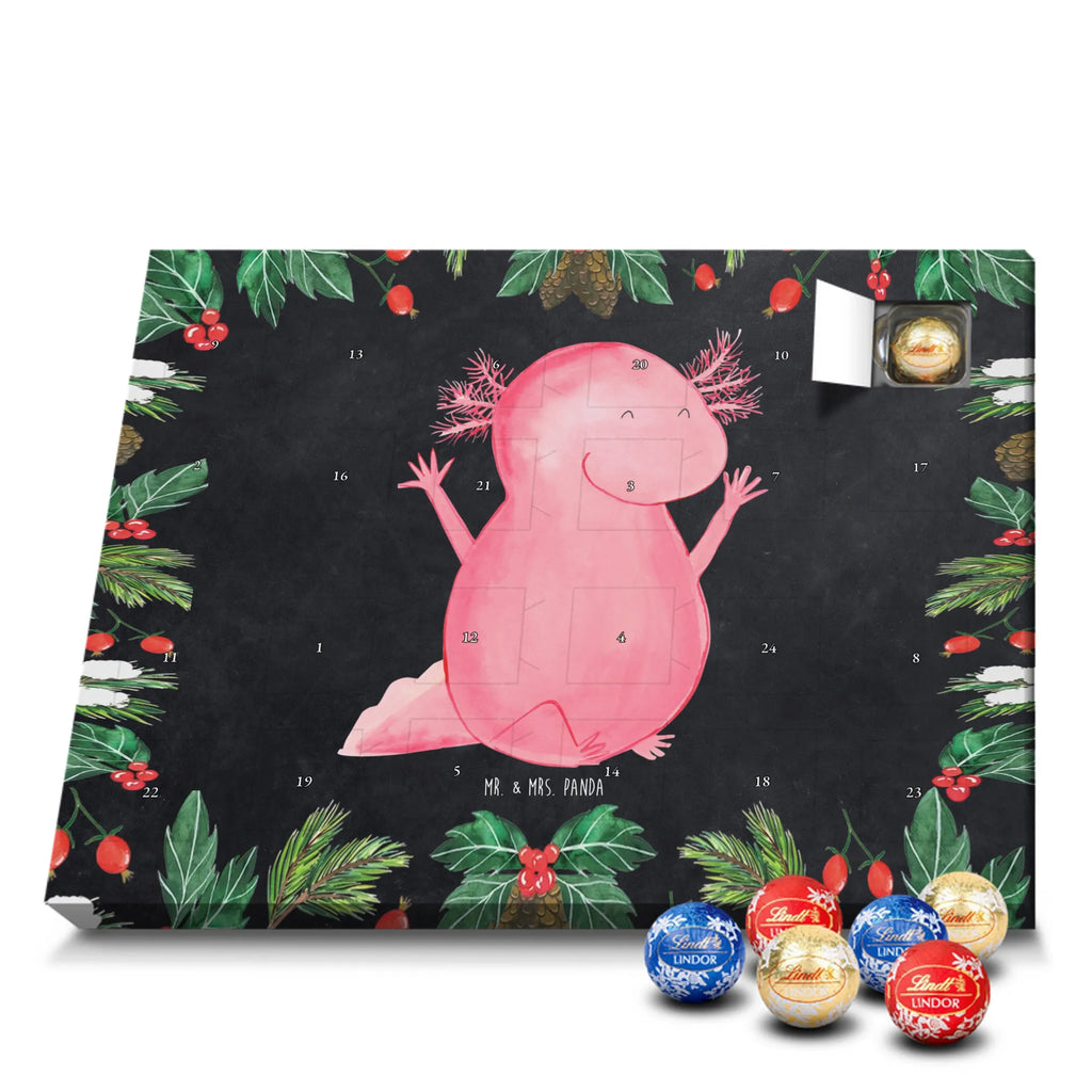 Chocolate advent calendar axolotl Hooray Mexican walking fish, Axelotl, marine animals, salamander, tail, amphibian, joy, satisfaction, cheerful, fun