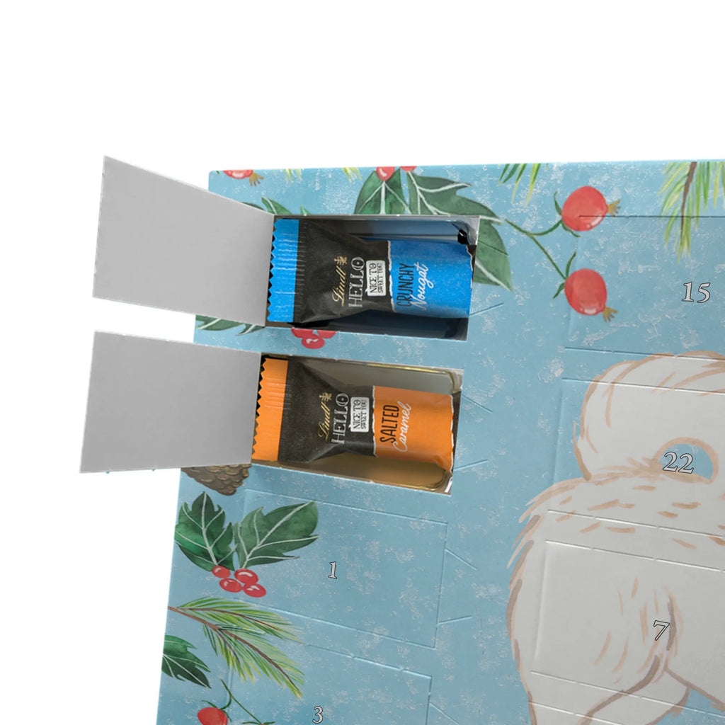 Chocolate advent calendar Maltipoo Moment puppy, dog owner, purebred dog, dog breed, giving, animal lover, gift