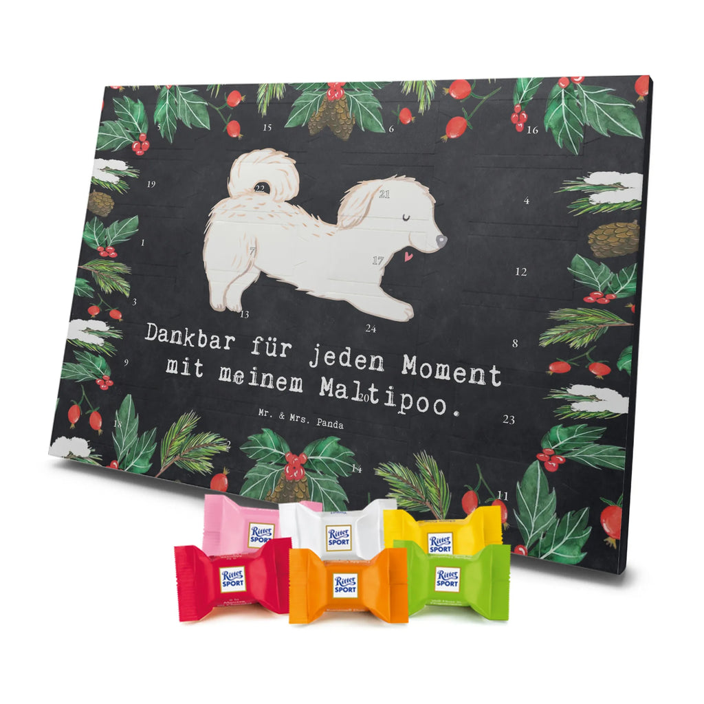 Chocolate advent calendar Maltipoo Moment puppy, dog owner, purebred dog, dog breed, giving, animal lover, gift