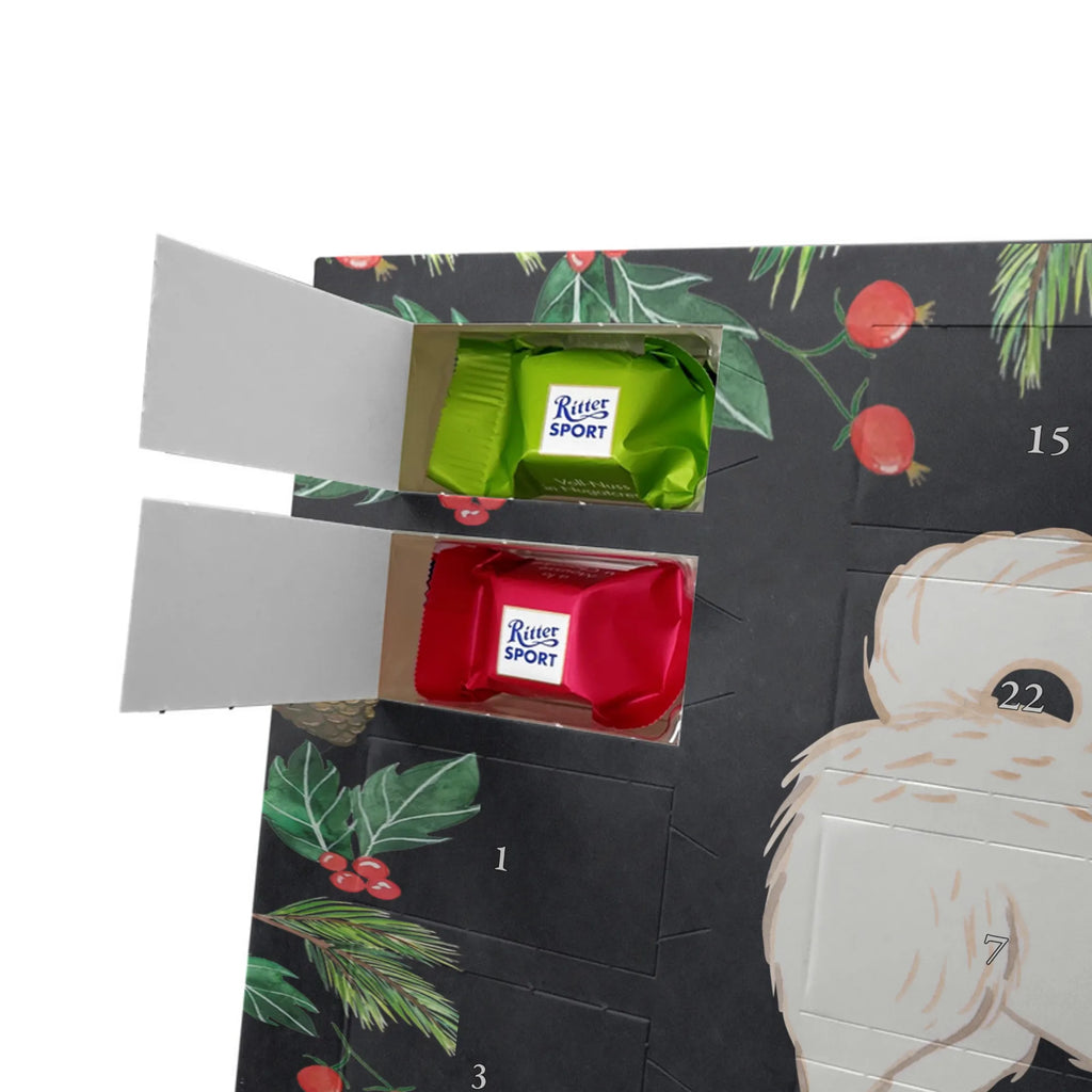 Chocolate advent calendar Maltipoo Moment puppy, dog owner, purebred dog, dog breed, giving, animal lover, gift