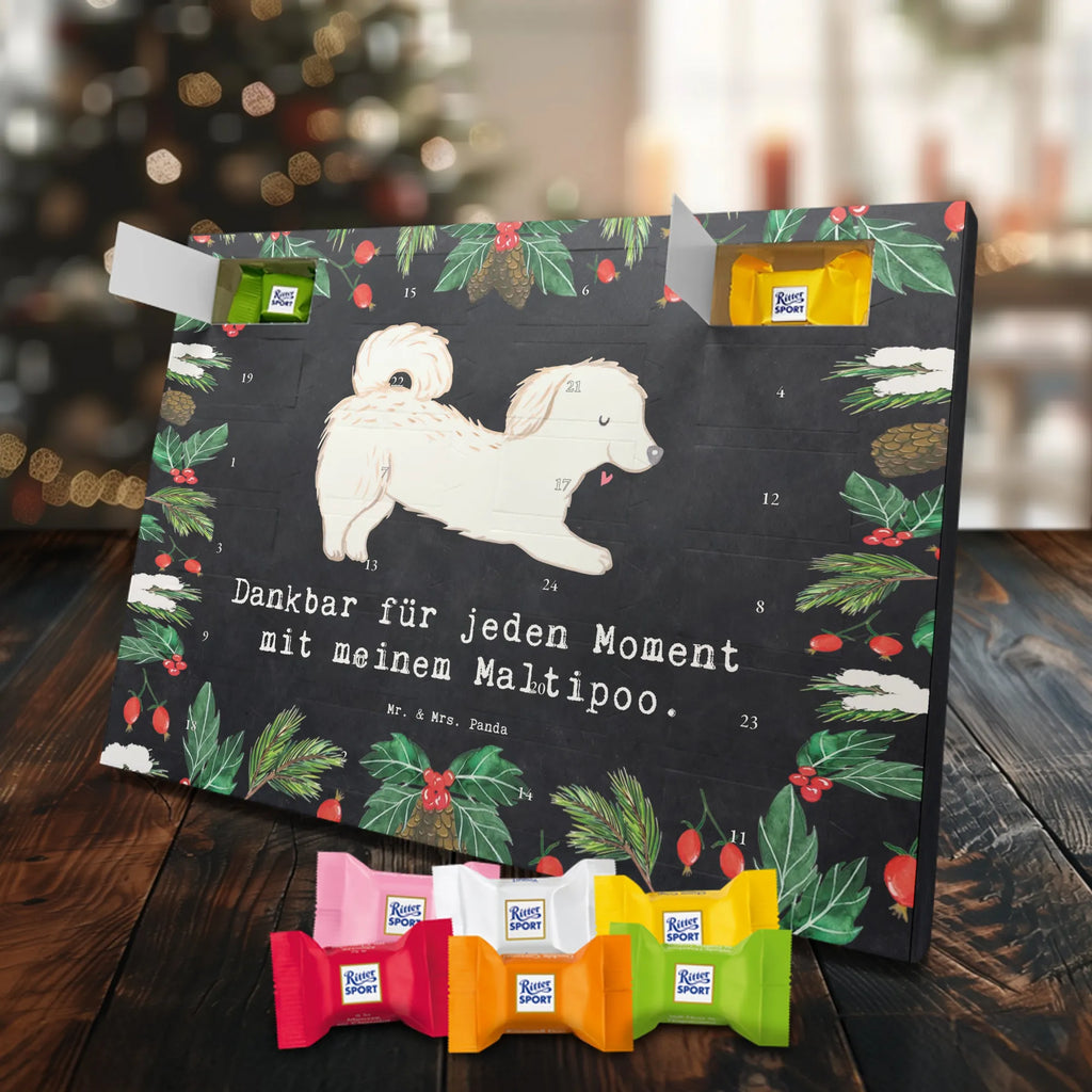 Chocolate advent calendar Maltipoo Moment puppy, dog owner, purebred dog, dog breed, giving, animal lover, gift