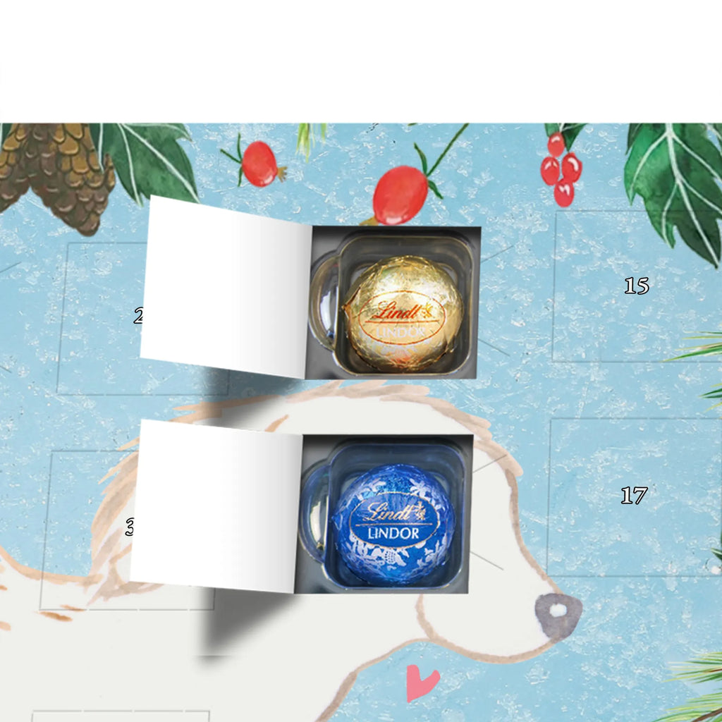 Chocolate advent calendar Maltipoo Moment puppy, dog owner, purebred dog, dog breed, giving, animal lover, gift