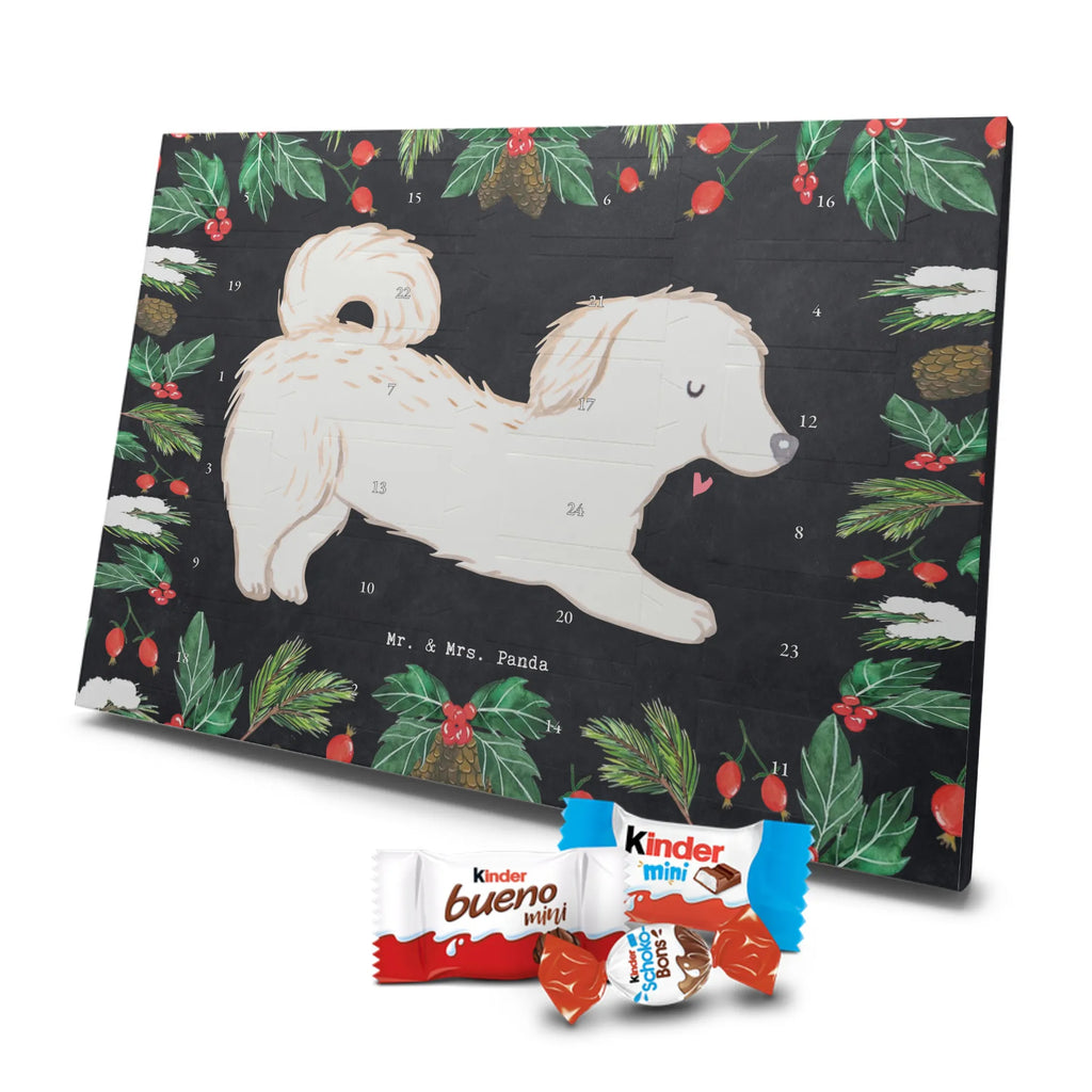 Chocolate advent calendar Maltipoo Moment puppy, dog owner, purebred dog, dog breed, giving, animal lover, gift