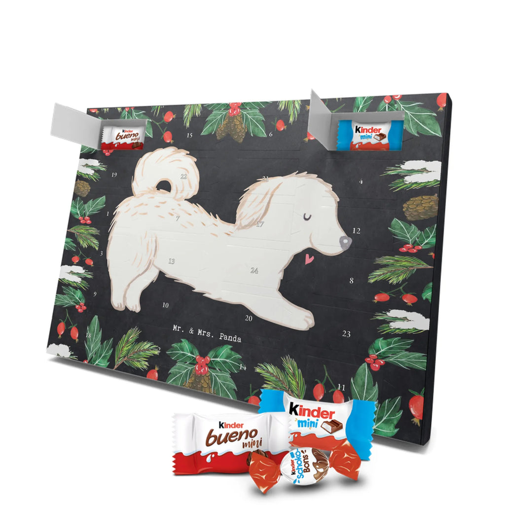 Chocolate advent calendar Maltipoo Moment puppy, dog owner, purebred dog, dog breed, giving, animal lover, gift