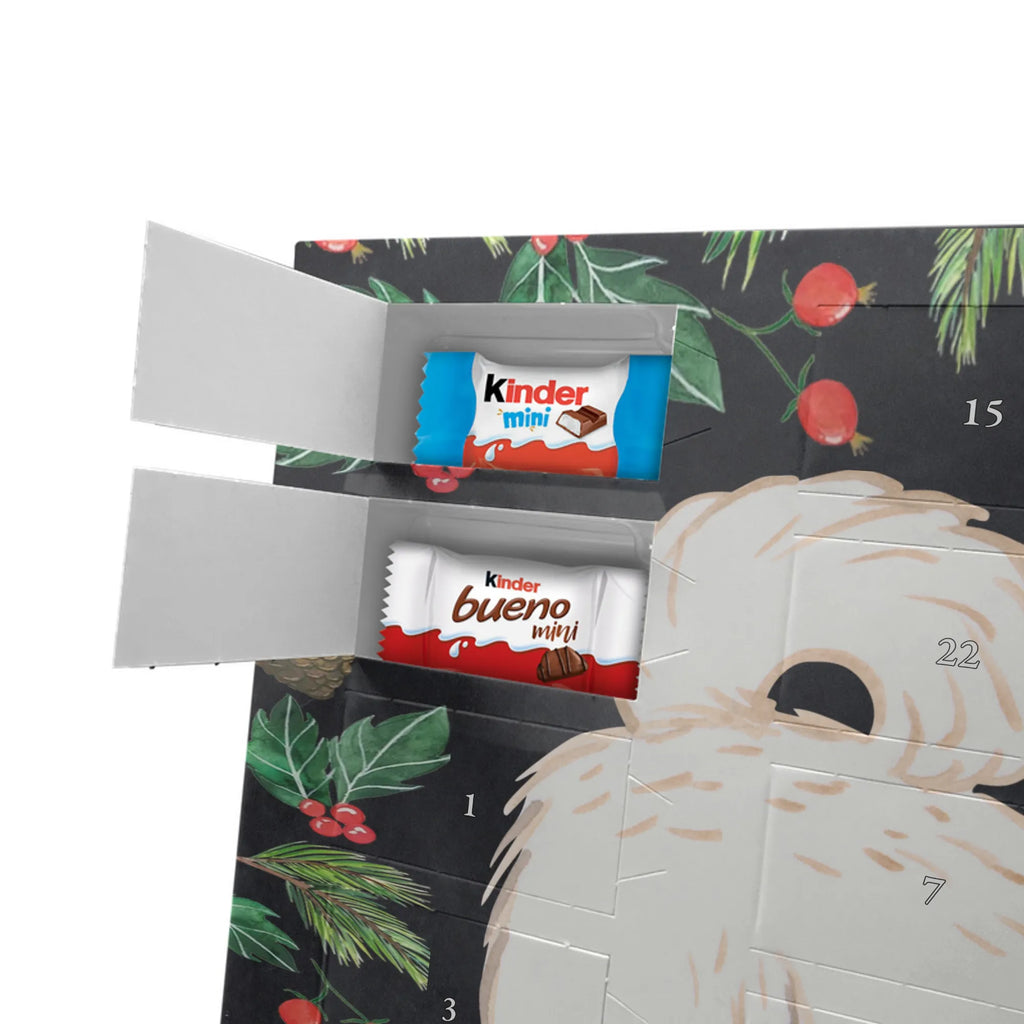 Chocolate advent calendar Maltipoo Moment puppy, dog owner, purebred dog, dog breed, giving, animal lover, gift