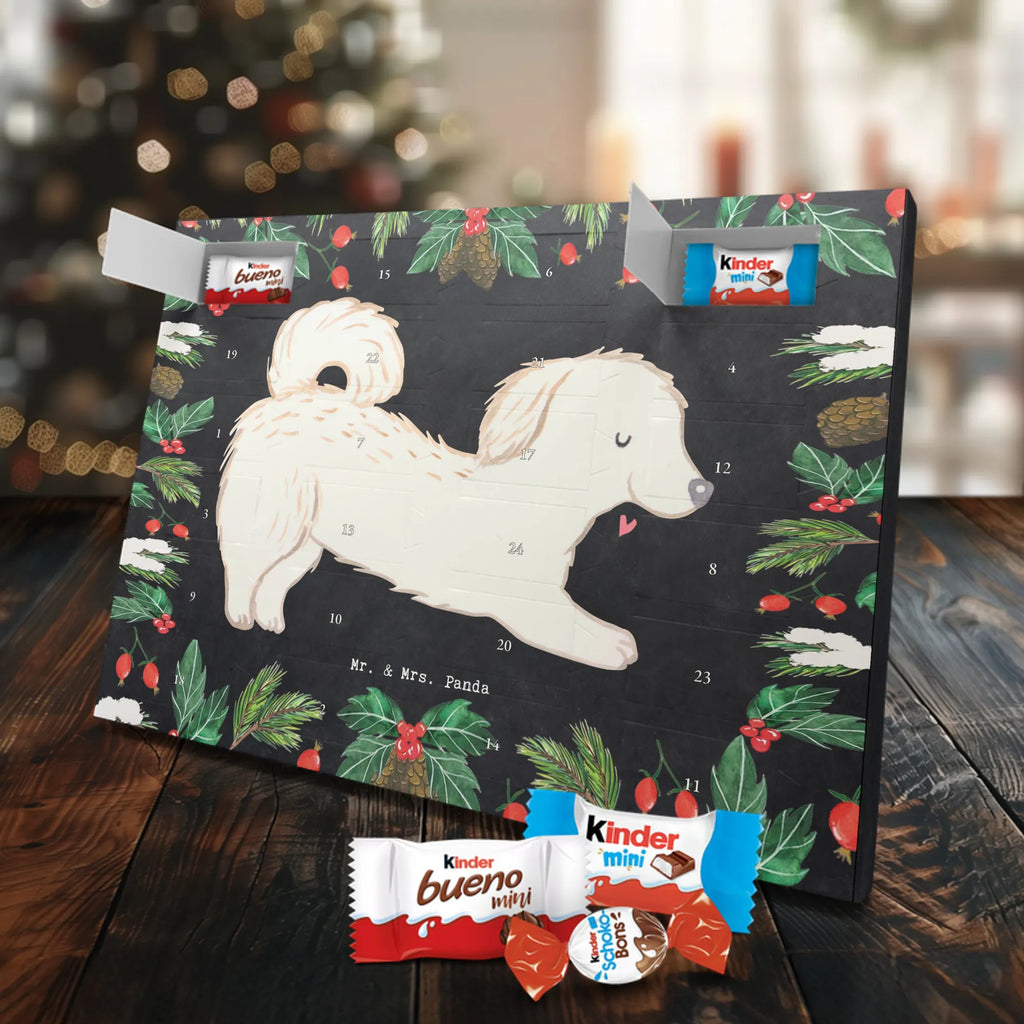 Chocolate advent calendar Maltipoo Moment puppy, dog owner, purebred dog, dog breed, giving, animal lover, gift