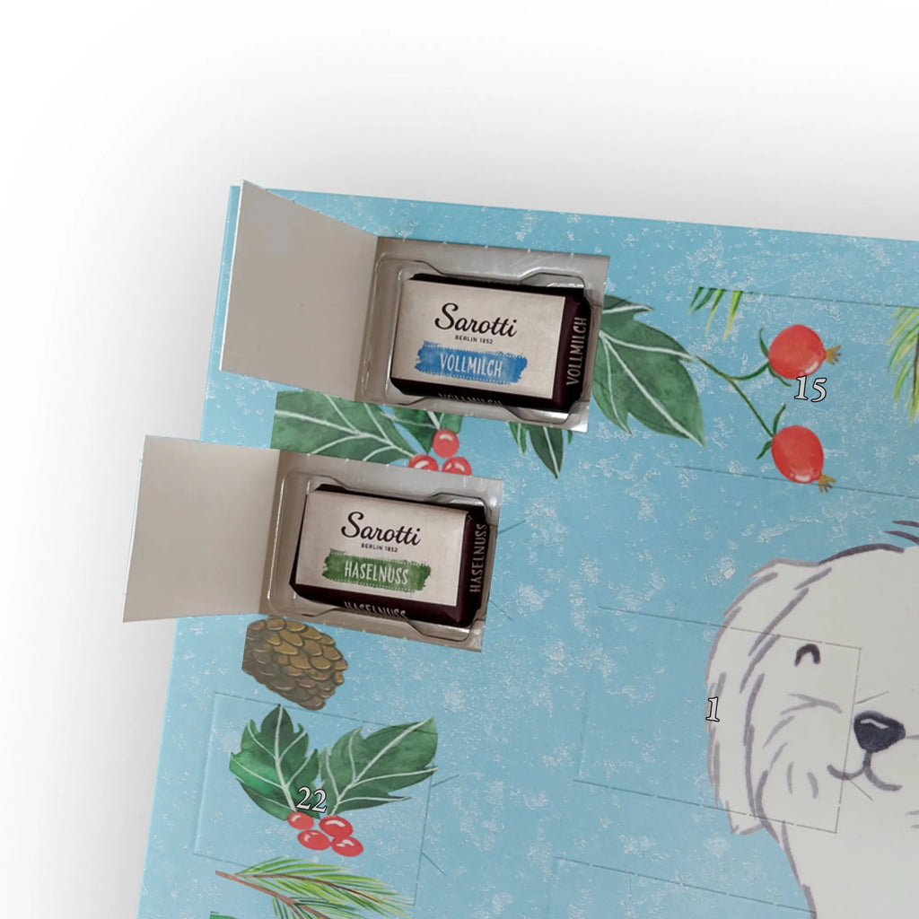 Adventskalender Malteser Moment Weihnachtskalender Schokolade, adventskalender mit pralinen, adventskalender süßigkeiten, weihnachtskalender schoko, Schoko Adventskalender, adventskalender pralinen, schokokalender, pralinen adventskalender, Schokoladen Adventskalender, schoko weihnachtskalender, advent kalender, kalender schokolade, adventskalender mit schokolade, süßigkeiten adventskalender, schoko kalender, Adventskalender Schokolade, süßigkeiten kalender, adventskalender mit süßigkeiten, Weihnachtskalender, Adventskalender, schokoladenkalender, schokolade adventskalender, schokoladen kalender, Welpe, Tierfreund, Hundebesitzer, Rassehund, Hunderasse, Hund, Schenken, Geschenk, Malteser