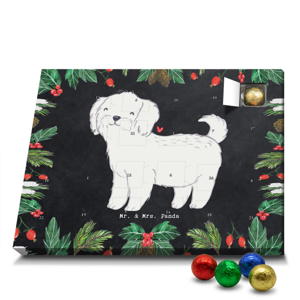 Adventskalender Malteser Moment Weihnachtskalender Schokolade, adventskalender mit pralinen, adventskalender süßigkeiten, weihnachtskalender schoko, Schoko Adventskalender, adventskalender pralinen, schokokalender, pralinen adventskalender, Schokoladen Adventskalender, schoko weihnachtskalender, advent kalender, kalender schokolade, adventskalender mit schokolade, süßigkeiten adventskalender, schoko kalender, Adventskalender Schokolade, süßigkeiten kalender, adventskalender mit süßigkeiten, Weihnachtskalender, Adventskalender, schokoladenkalender, schokolade adventskalender, schokoladen kalender, Welpe, Tierfreund, Hundebesitzer, Rassehund, Hunderasse, Hund, Schenken, Geschenk, Malteser