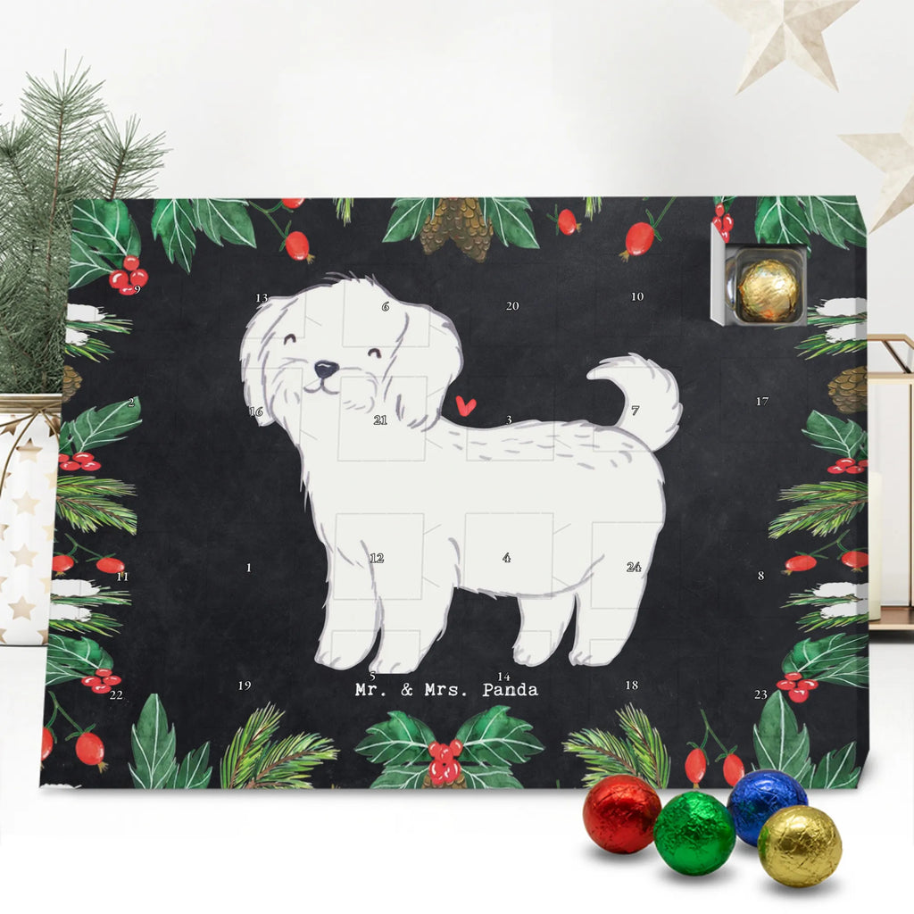 Adventskalender Malteser Moment Weihnachtskalender Schokolade, adventskalender mit pralinen, adventskalender süßigkeiten, weihnachtskalender schoko, Schoko Adventskalender, adventskalender pralinen, schokokalender, pralinen adventskalender, Schokoladen Adventskalender, schoko weihnachtskalender, advent kalender, kalender schokolade, adventskalender mit schokolade, süßigkeiten adventskalender, schoko kalender, Adventskalender Schokolade, süßigkeiten kalender, adventskalender mit süßigkeiten, Weihnachtskalender, Adventskalender, schokoladenkalender, schokolade adventskalender, schokoladen kalender, Welpe, Tierfreund, Hundebesitzer, Rassehund, Hunderasse, Hund, Schenken, Geschenk, Malteser