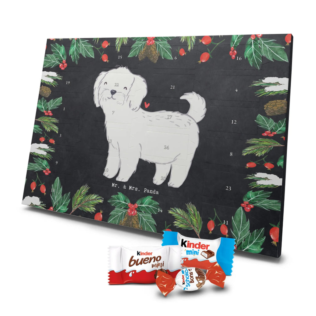 Adventskalender Malteser Moment Weihnachtskalender Schokolade, adventskalender mit pralinen, adventskalender süßigkeiten, weihnachtskalender schoko, Schoko Adventskalender, adventskalender pralinen, schokokalender, pralinen adventskalender, Schokoladen Adventskalender, schoko weihnachtskalender, advent kalender, kalender schokolade, adventskalender mit schokolade, süßigkeiten adventskalender, schoko kalender, Adventskalender Schokolade, süßigkeiten kalender, adventskalender mit süßigkeiten, Weihnachtskalender, Adventskalender, schokoladenkalender, schokolade adventskalender, schokoladen kalender, Welpe, Tierfreund, Hundebesitzer, Rassehund, Hunderasse, Hund, Schenken, Geschenk, Malteser