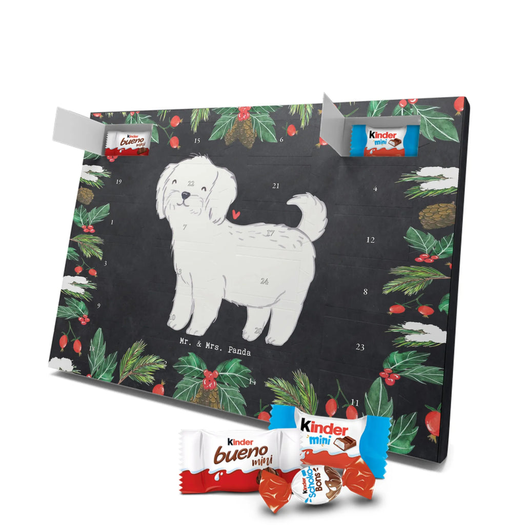 Adventskalender Malteser Moment Weihnachtskalender Schokolade, adventskalender mit pralinen, adventskalender süßigkeiten, weihnachtskalender schoko, Schoko Adventskalender, adventskalender pralinen, schokokalender, pralinen adventskalender, Schokoladen Adventskalender, schoko weihnachtskalender, advent kalender, kalender schokolade, adventskalender mit schokolade, süßigkeiten adventskalender, schoko kalender, Adventskalender Schokolade, süßigkeiten kalender, adventskalender mit süßigkeiten, Weihnachtskalender, Adventskalender, schokoladenkalender, schokolade adventskalender, schokoladen kalender, Welpe, Tierfreund, Hundebesitzer, Rassehund, Hunderasse, Hund, Schenken, Geschenk, Malteser