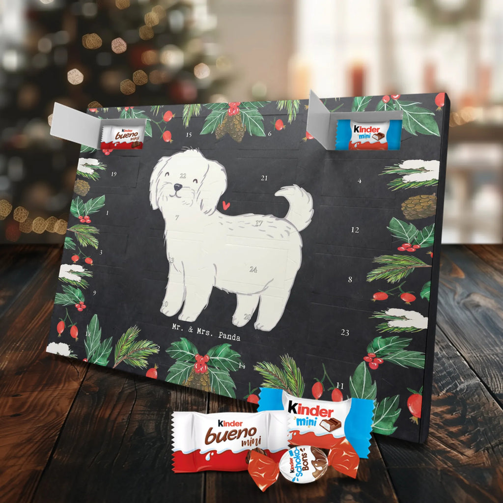 Adventskalender Malteser Moment Weihnachtskalender Schokolade, adventskalender mit pralinen, adventskalender süßigkeiten, weihnachtskalender schoko, Schoko Adventskalender, adventskalender pralinen, schokokalender, pralinen adventskalender, Schokoladen Adventskalender, schoko weihnachtskalender, advent kalender, kalender schokolade, adventskalender mit schokolade, süßigkeiten adventskalender, schoko kalender, Adventskalender Schokolade, süßigkeiten kalender, adventskalender mit süßigkeiten, Weihnachtskalender, Adventskalender, schokoladenkalender, schokolade adventskalender, schokoladen kalender, Welpe, Tierfreund, Hundebesitzer, Rassehund, Hunderasse, Hund, Schenken, Geschenk, Malteser