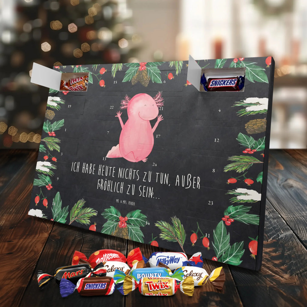 Chocolate advent calendar axolotl Hooray Mexican walking fish, Axelotl, marine animals, salamander, tail, amphibian, joy, satisfaction, cheerful, fun
