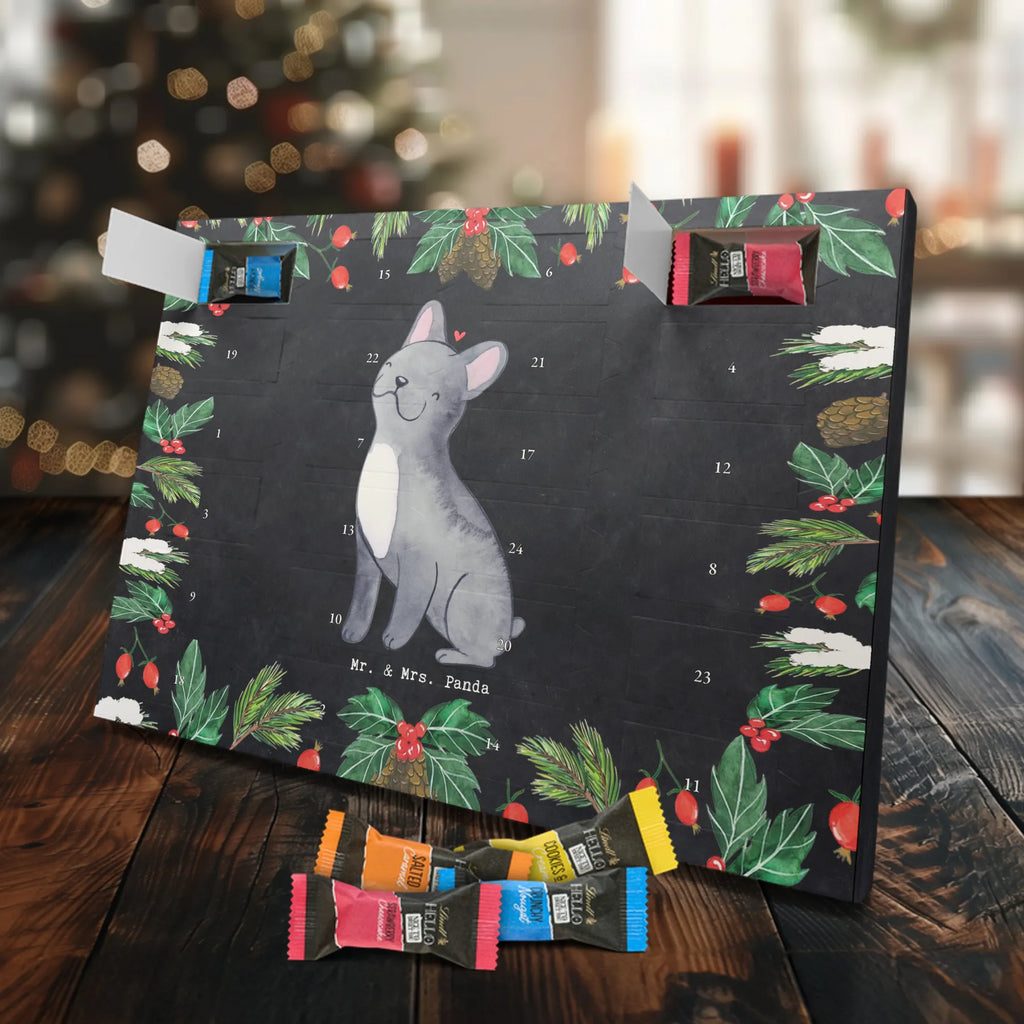 Chocolate advent calendar French Bulldog Moment puppy, dog owner, purebred dog, dog breed, giving, animal lover, gift