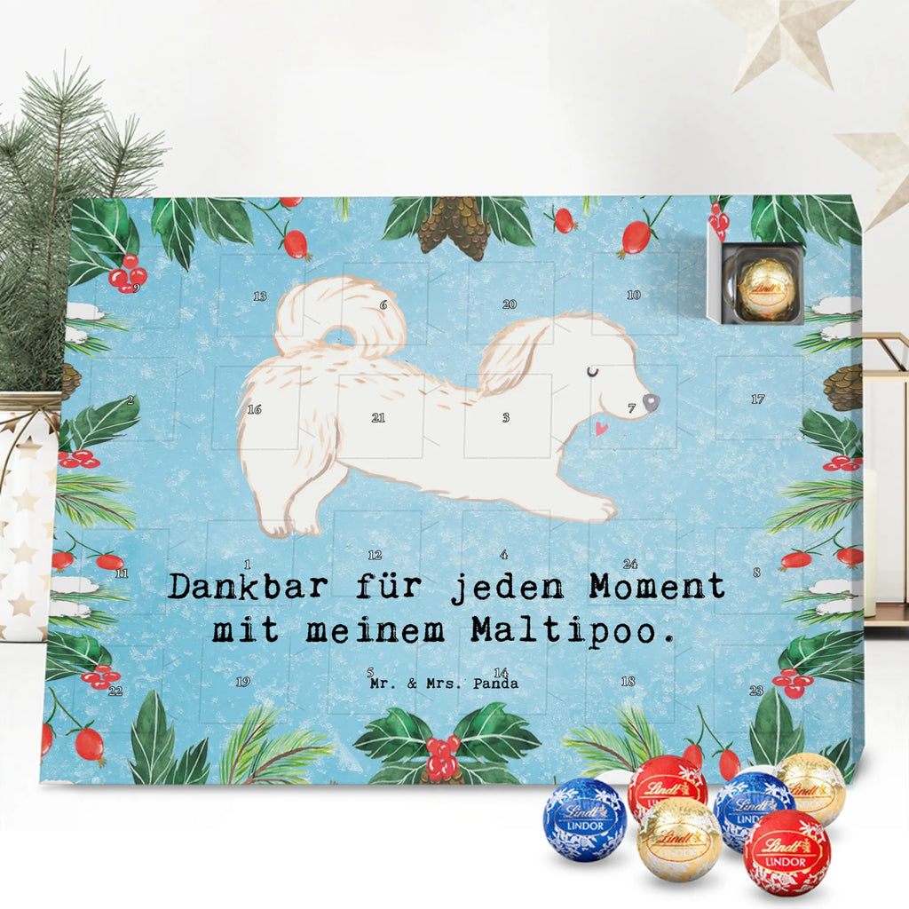 Chocolate advent calendar Maltipoo Moment puppy, dog owner, purebred dog, dog breed, giving, animal lover, gift