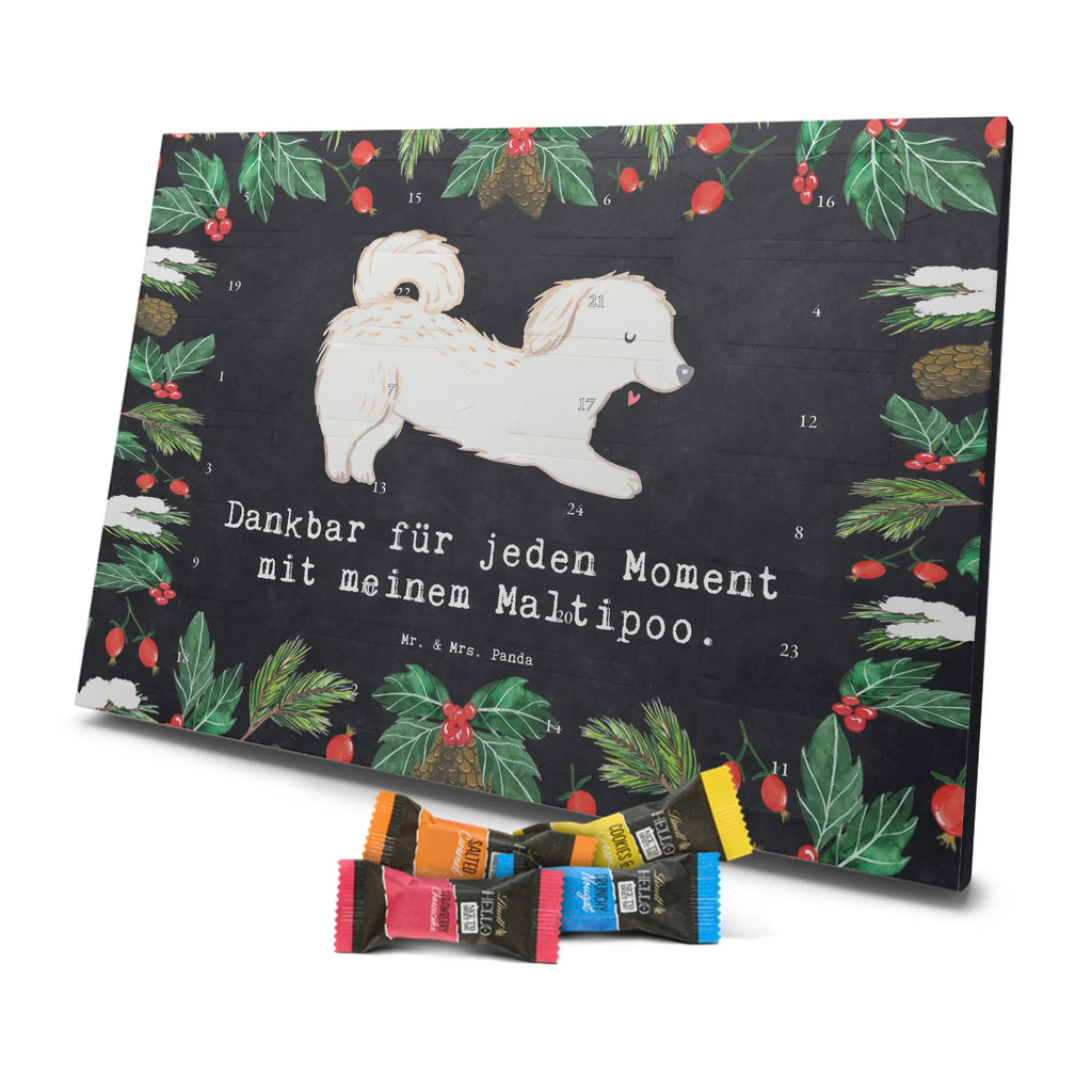 Chocolate advent calendar Maltipoo Moment puppy, dog owner, purebred dog, dog breed, giving, animal lover, gift