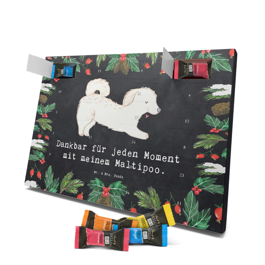 Chocolate advent calendar Maltipoo Moment puppy, dog owner, purebred dog, dog breed, giving, animal lover, gift