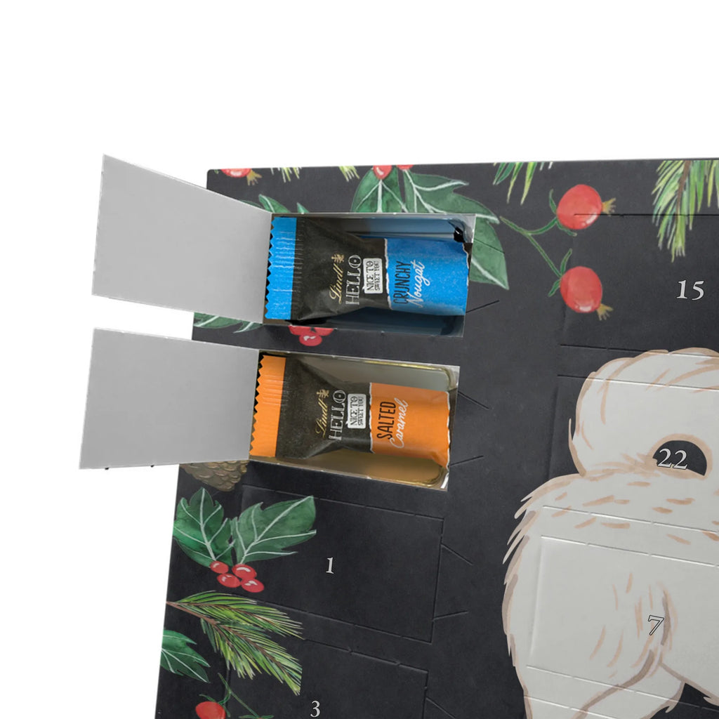 Chocolate advent calendar Maltipoo Moment puppy, dog owner, purebred dog, dog breed, giving, animal lover, gift