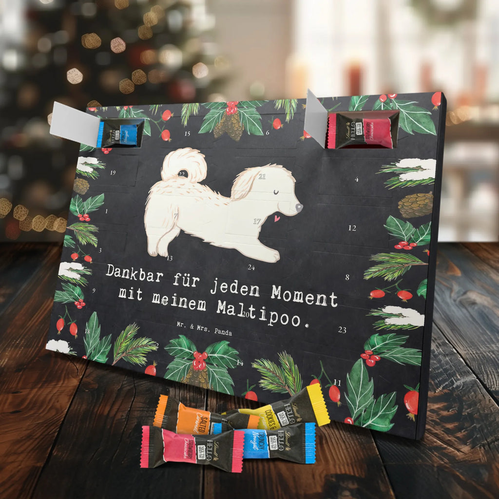 Chocolate advent calendar Maltipoo Moment puppy, dog owner, purebred dog, dog breed, giving, animal lover, gift