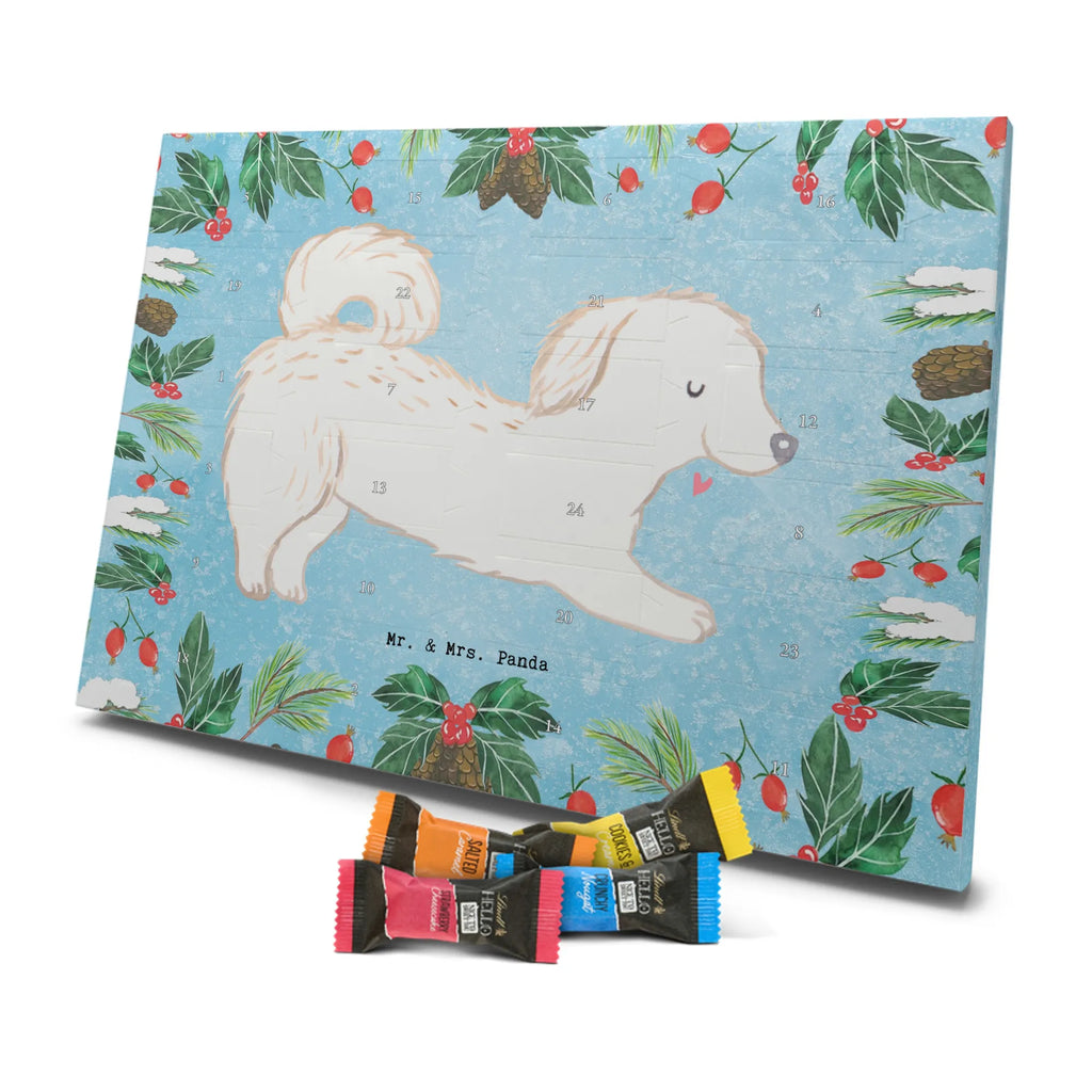 Chocolate advent calendar Maltipoo Moment puppy, dog owner, purebred dog, dog breed, giving, animal lover, gift