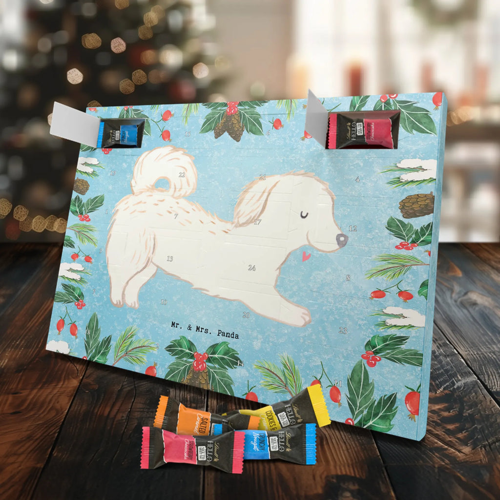 Chocolate advent calendar Maltipoo Moment puppy, dog owner, purebred dog, dog breed, giving, animal lover, gift