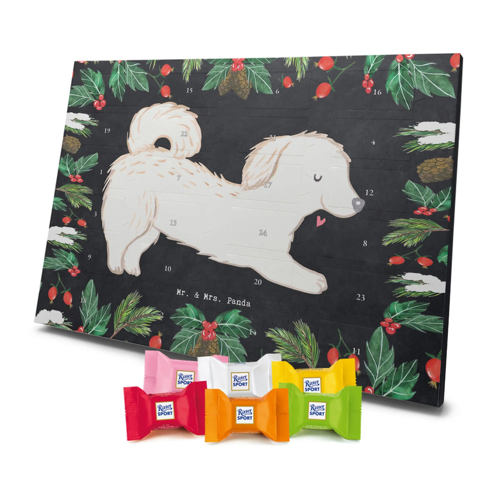 Chocolate advent calendar Maltipoo Moment puppy, dog owner, purebred dog, dog breed, giving, animal lover, gift