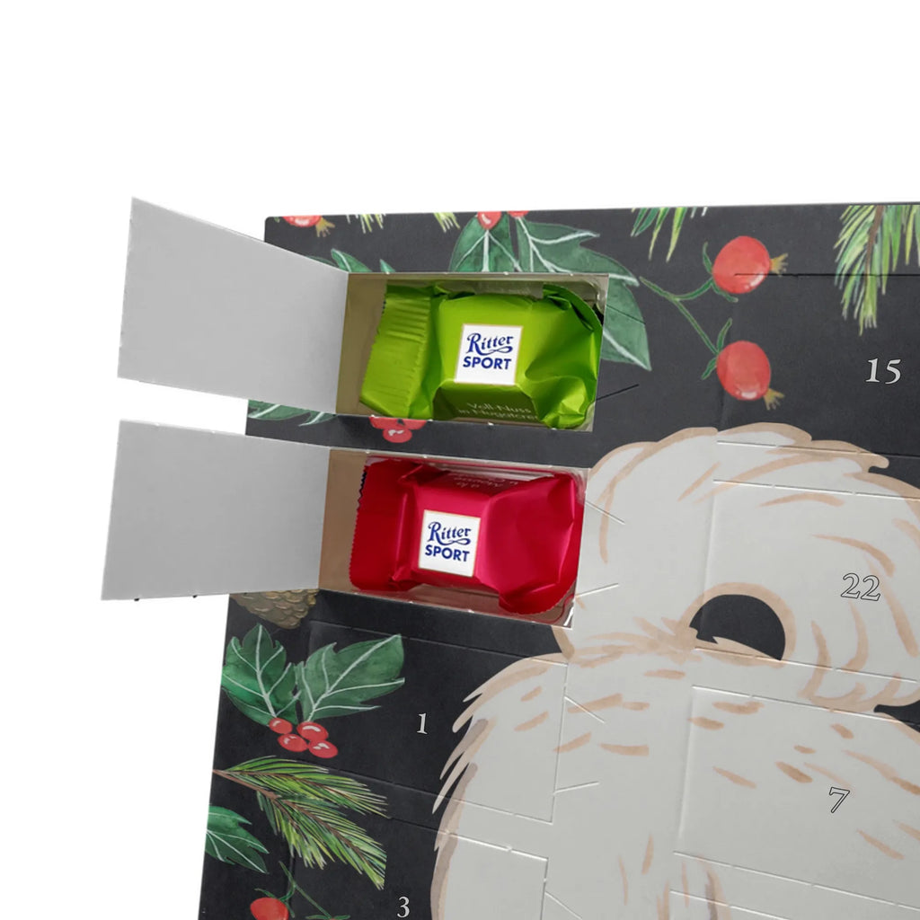 Chocolate advent calendar Maltipoo Moment puppy, dog owner, purebred dog, dog breed, giving, animal lover, gift