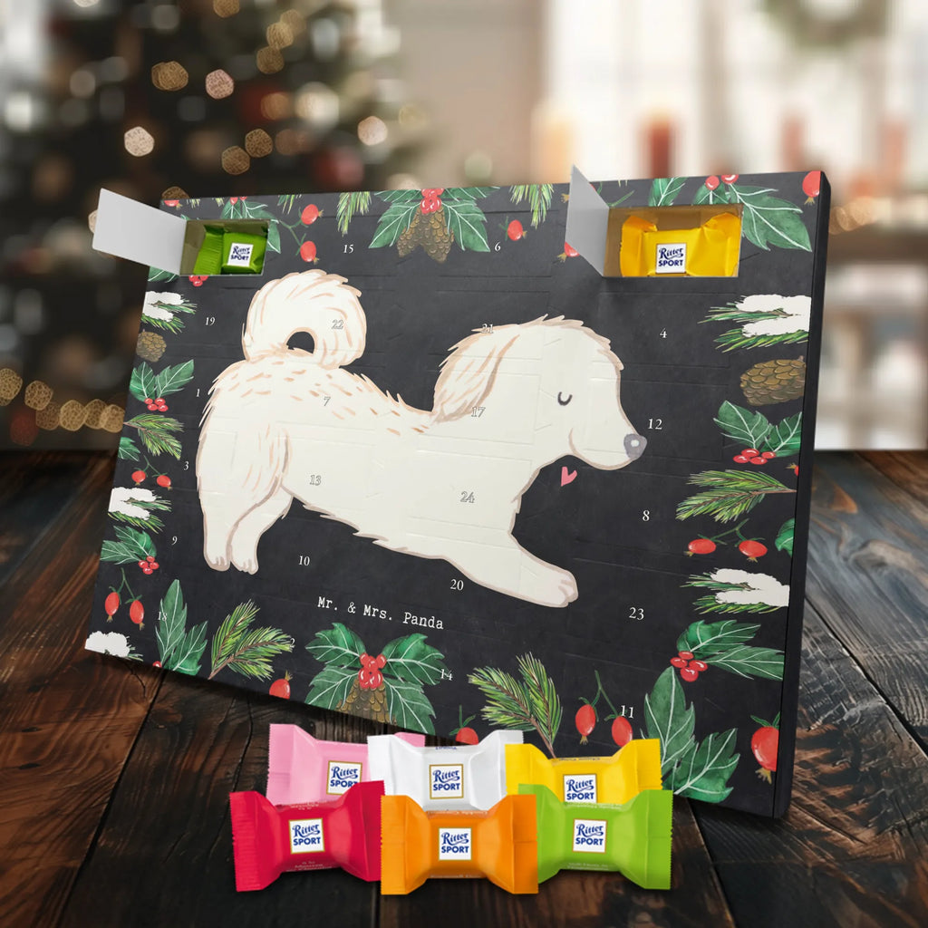 Chocolate advent calendar Maltipoo Moment puppy, dog owner, purebred dog, dog breed, giving, animal lover, gift