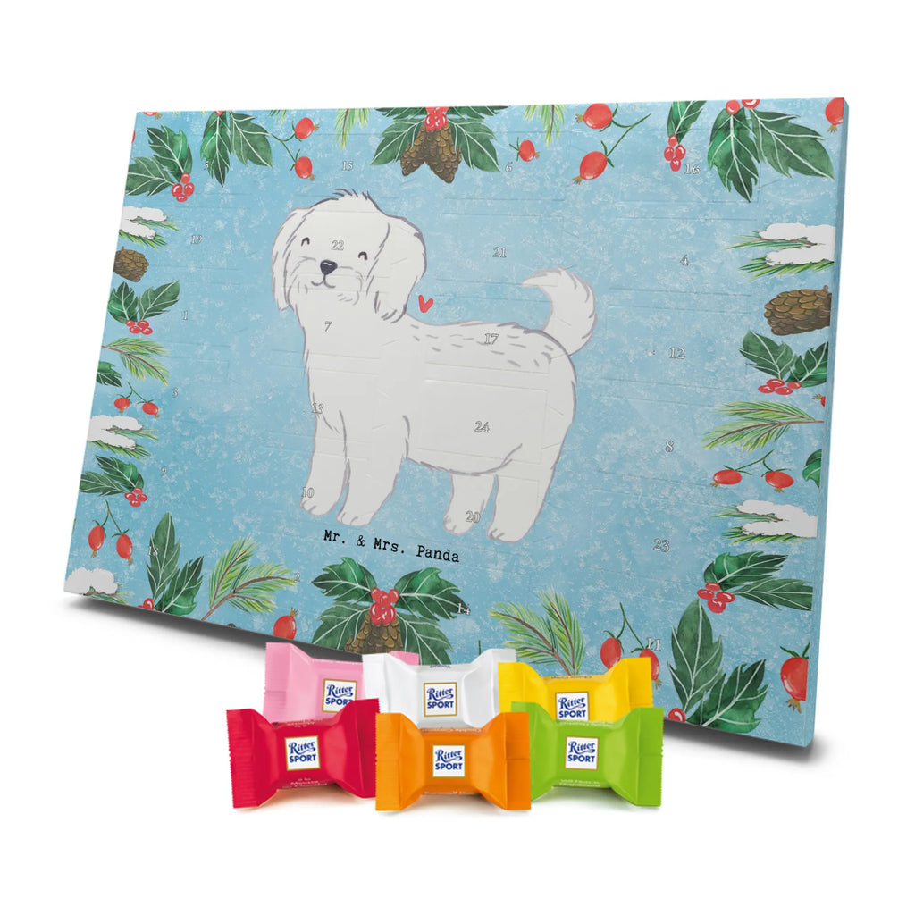 Adventskalender Malteser Moment Weihnachtskalender Schokolade, adventskalender mit pralinen, adventskalender süßigkeiten, weihnachtskalender schoko, Schoko Adventskalender, adventskalender pralinen, schokokalender, pralinen adventskalender, Schokoladen Adventskalender, schoko weihnachtskalender, advent kalender, kalender schokolade, adventskalender mit schokolade, süßigkeiten adventskalender, schoko kalender, Adventskalender Schokolade, süßigkeiten kalender, adventskalender mit süßigkeiten, Weihnachtskalender, Adventskalender, schokoladenkalender, schokolade adventskalender, schokoladen kalender, Welpe, Tierfreund, Hundebesitzer, Rassehund, Hunderasse, Hund, Schenken, Geschenk, Malteser