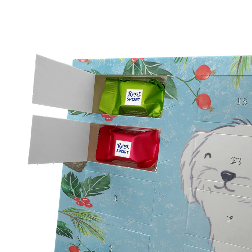 Adventskalender Malteser Moment Weihnachtskalender Schokolade, adventskalender mit pralinen, adventskalender süßigkeiten, weihnachtskalender schoko, Schoko Adventskalender, adventskalender pralinen, schokokalender, pralinen adventskalender, Schokoladen Adventskalender, schoko weihnachtskalender, advent kalender, kalender schokolade, adventskalender mit schokolade, süßigkeiten adventskalender, schoko kalender, Adventskalender Schokolade, süßigkeiten kalender, adventskalender mit süßigkeiten, Weihnachtskalender, Adventskalender, schokoladenkalender, schokolade adventskalender, schokoladen kalender, Welpe, Tierfreund, Hundebesitzer, Rassehund, Hunderasse, Hund, Schenken, Geschenk, Malteser