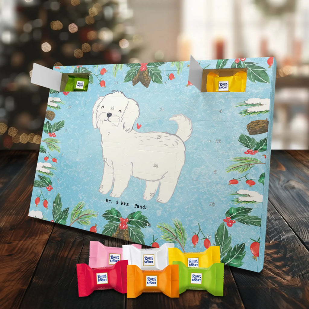 Adventskalender Malteser Moment Weihnachtskalender Schokolade, adventskalender mit pralinen, adventskalender süßigkeiten, weihnachtskalender schoko, Schoko Adventskalender, adventskalender pralinen, schokokalender, pralinen adventskalender, Schokoladen Adventskalender, schoko weihnachtskalender, advent kalender, kalender schokolade, adventskalender mit schokolade, süßigkeiten adventskalender, schoko kalender, Adventskalender Schokolade, süßigkeiten kalender, adventskalender mit süßigkeiten, Weihnachtskalender, Adventskalender, schokoladenkalender, schokolade adventskalender, schokoladen kalender, Welpe, Tierfreund, Hundebesitzer, Rassehund, Hunderasse, Hund, Schenken, Geschenk, Malteser