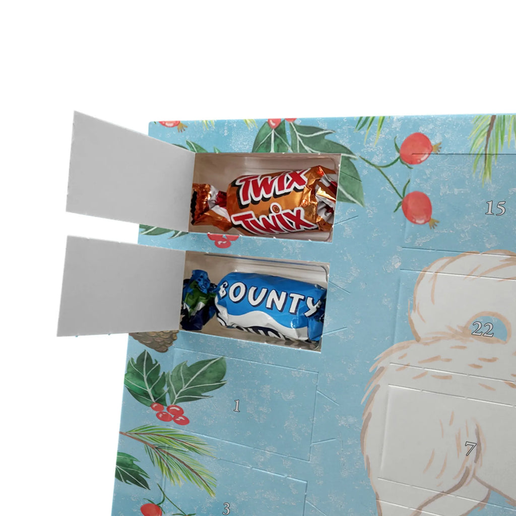 Chocolate advent calendar Maltipoo Moment puppy, dog owner, purebred dog, dog breed, giving, animal lover, gift