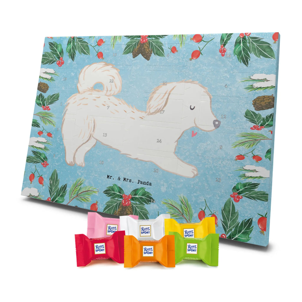 Chocolate advent calendar Maltipoo Moment puppy, dog owner, purebred dog, dog breed, giving, animal lover, gift