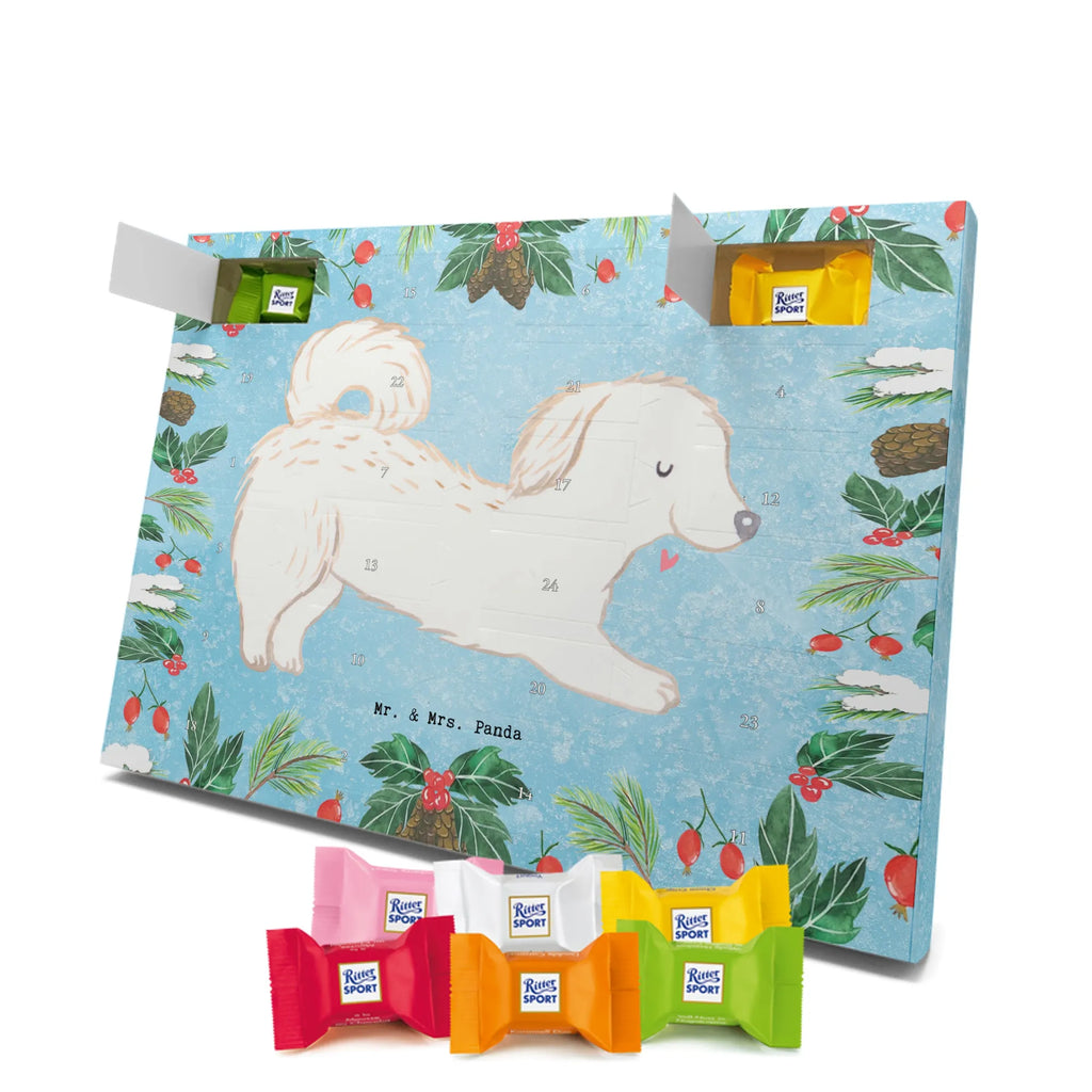 Chocolate advent calendar Maltipoo Moment puppy, dog owner, purebred dog, dog breed, giving, animal lover, gift