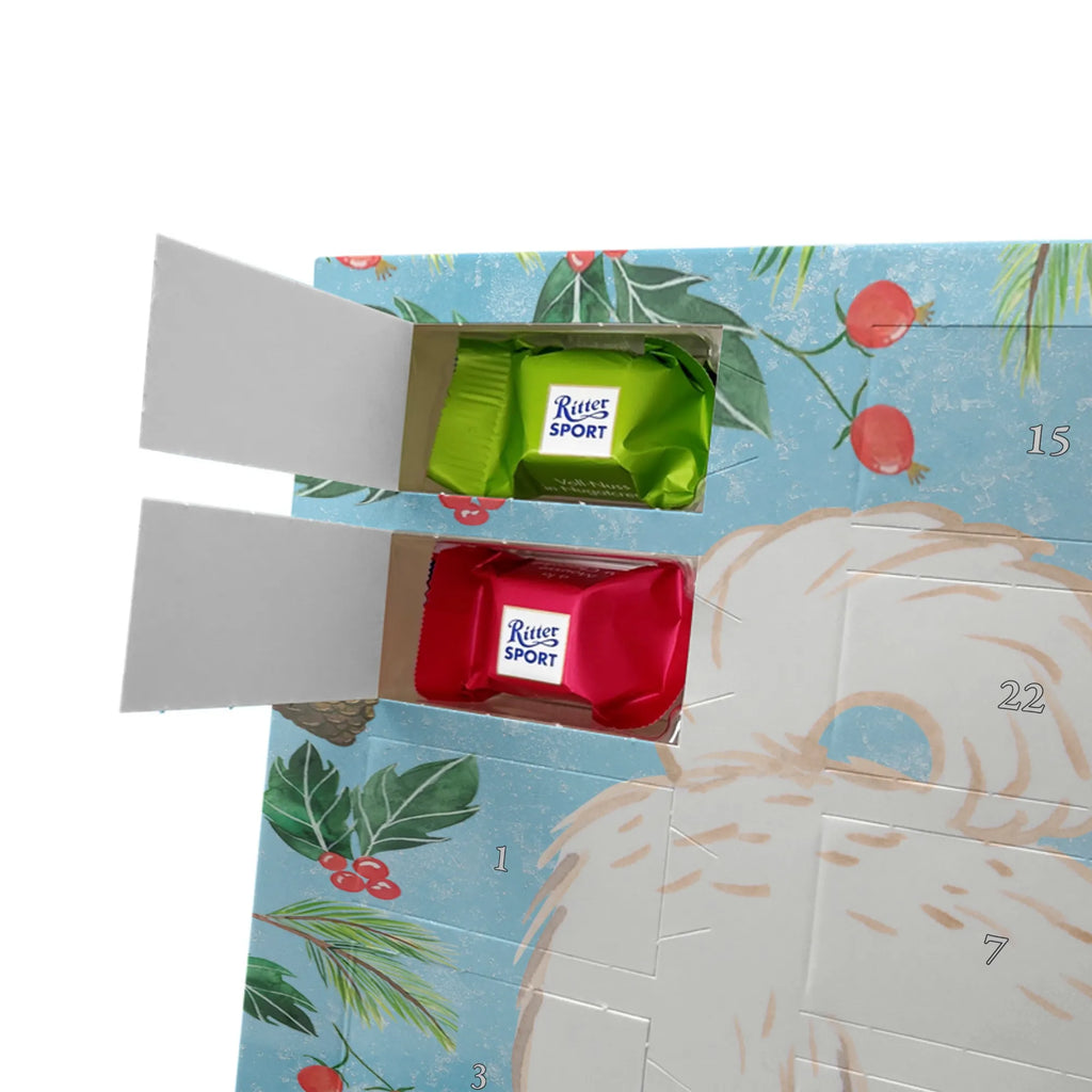 Chocolate advent calendar Maltipoo Moment puppy, dog owner, purebred dog, dog breed, giving, animal lover, gift