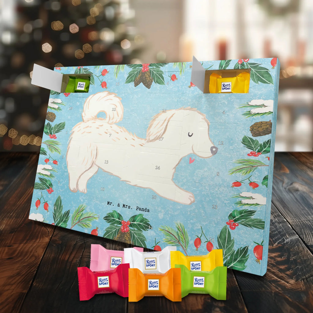 Chocolate advent calendar Maltipoo Moment puppy, dog owner, purebred dog, dog breed, giving, animal lover, gift