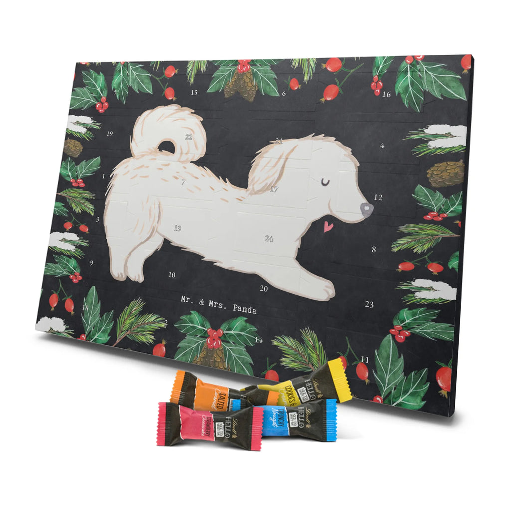 Chocolate advent calendar Maltipoo Moment puppy, dog owner, purebred dog, dog breed, giving, animal lover, gift