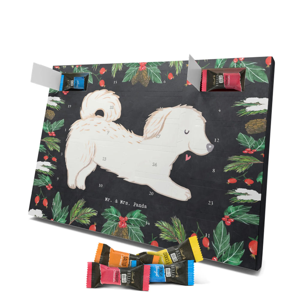 Chocolate advent calendar Maltipoo Moment puppy, dog owner, purebred dog, dog breed, giving, animal lover, gift