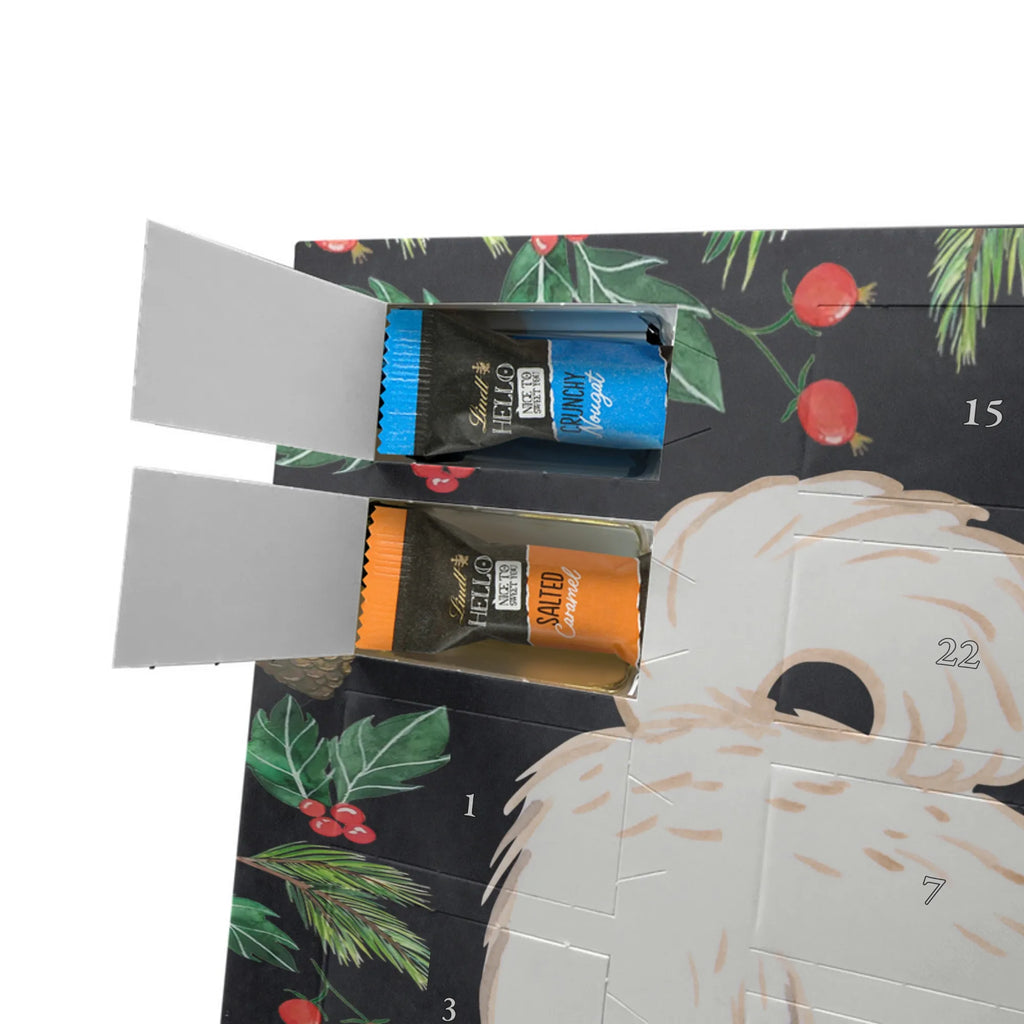 Chocolate advent calendar Maltipoo Moment puppy, dog owner, purebred dog, dog breed, giving, animal lover, gift