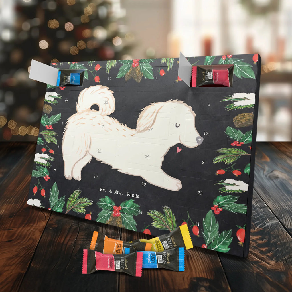 Chocolate advent calendar Maltipoo Moment puppy, dog owner, purebred dog, dog breed, giving, animal lover, gift